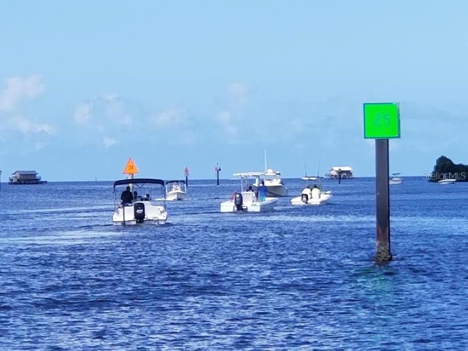 The race at scallop season.