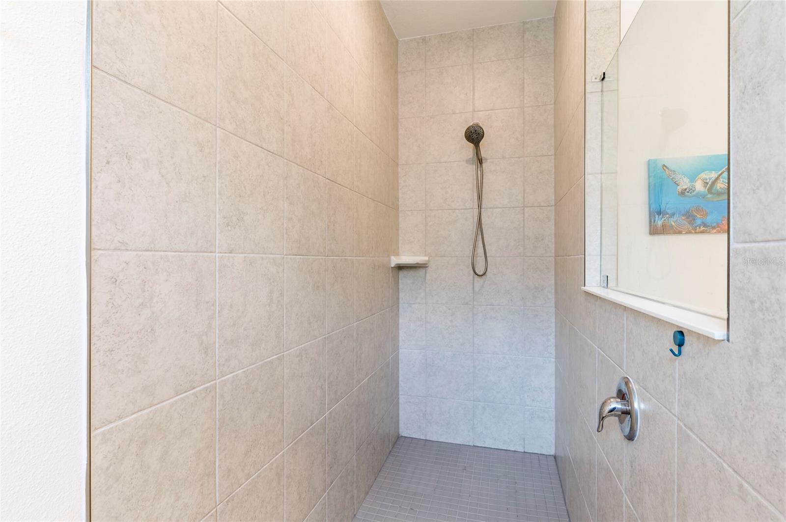 Primary Shower