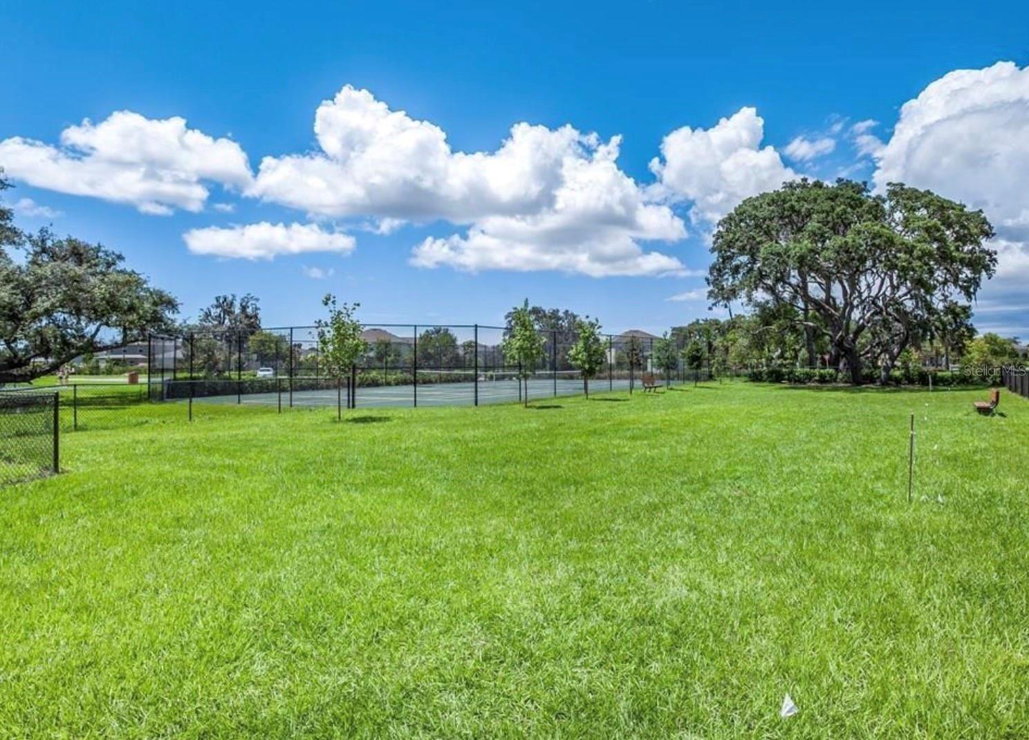 Tennis Court/field