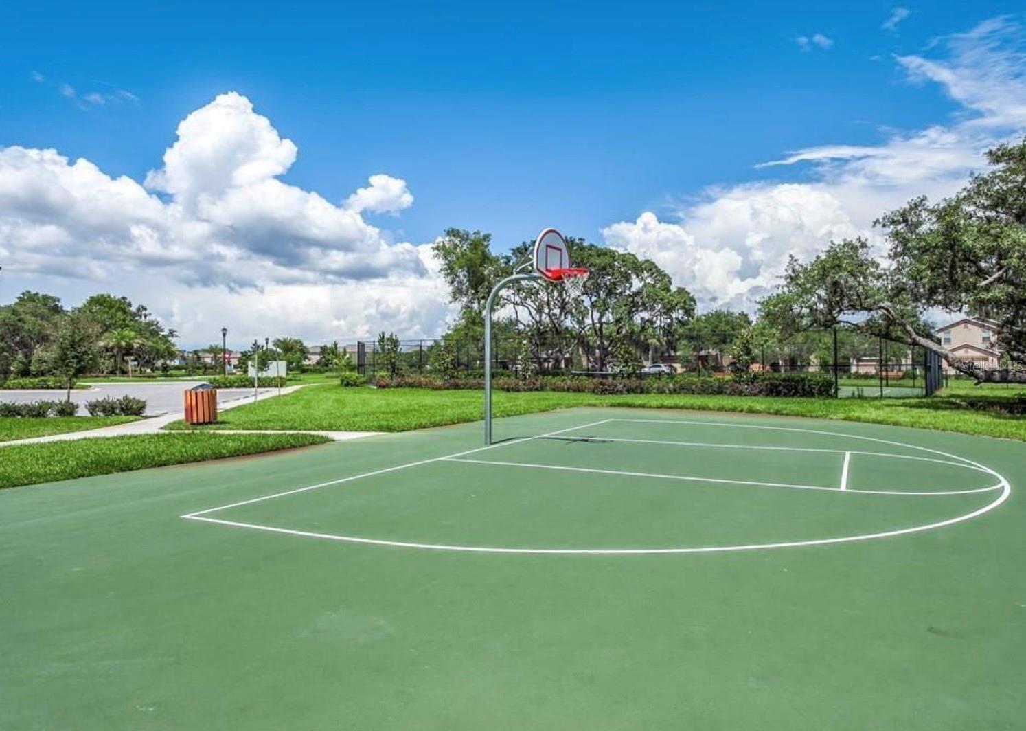 Basketball Court