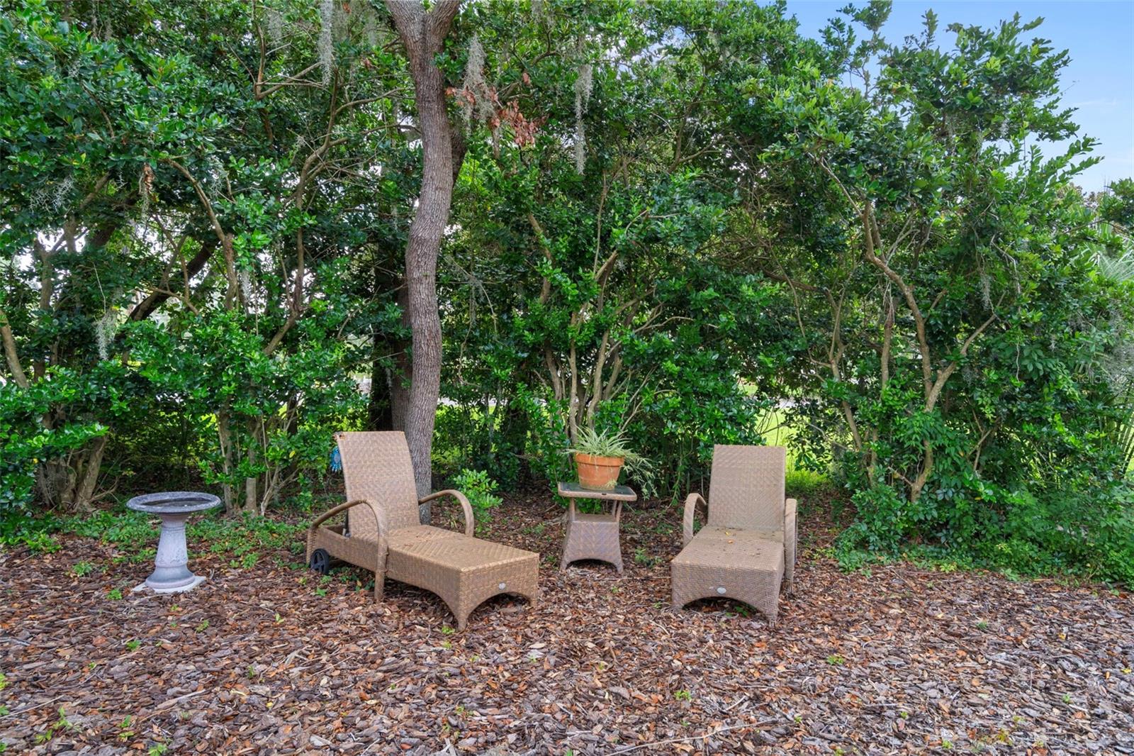 The backyard has the perfect spot to relax and read a book.