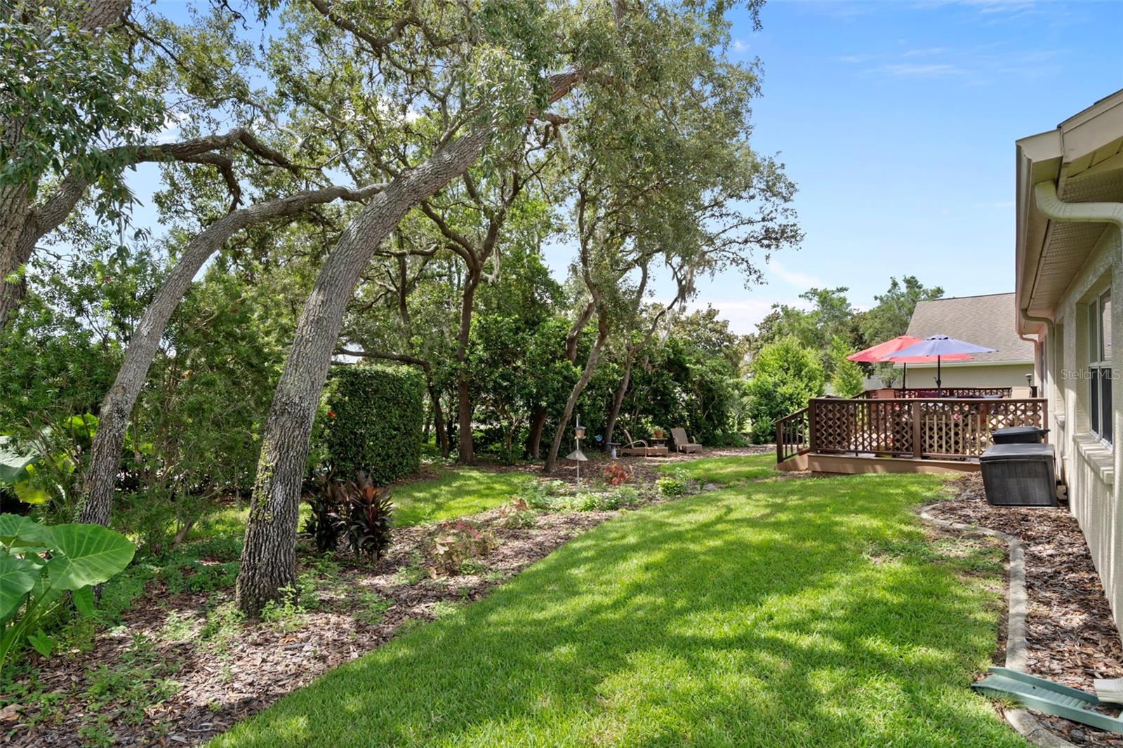 View of the backyard from the other side of the property.