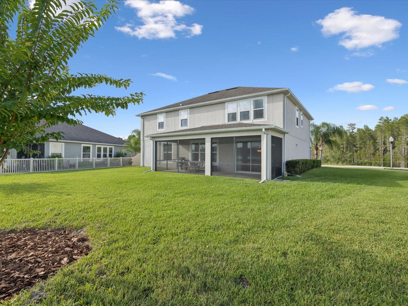 Spacious backyard