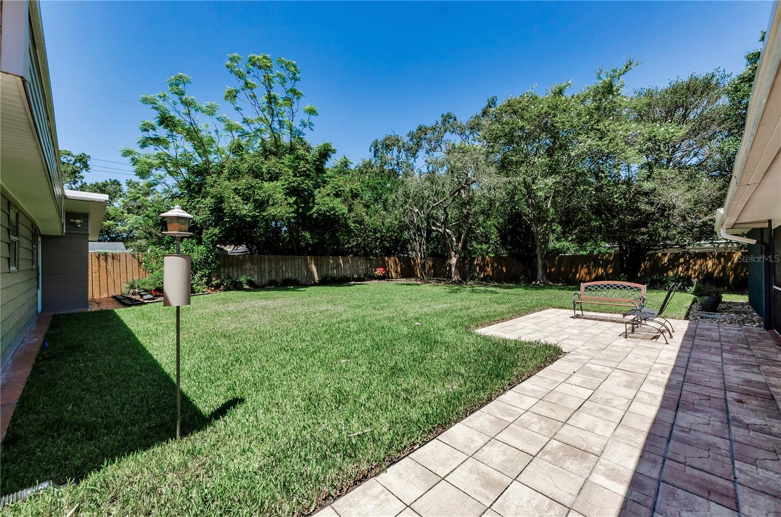 Lush backyard