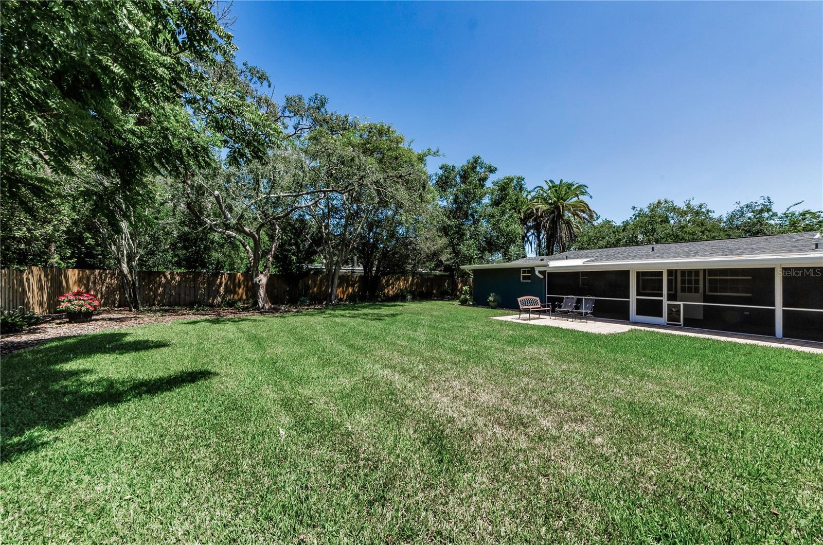 Another view of backyard