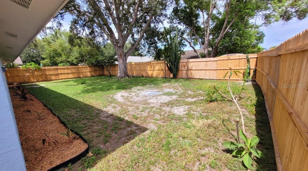 Back yard