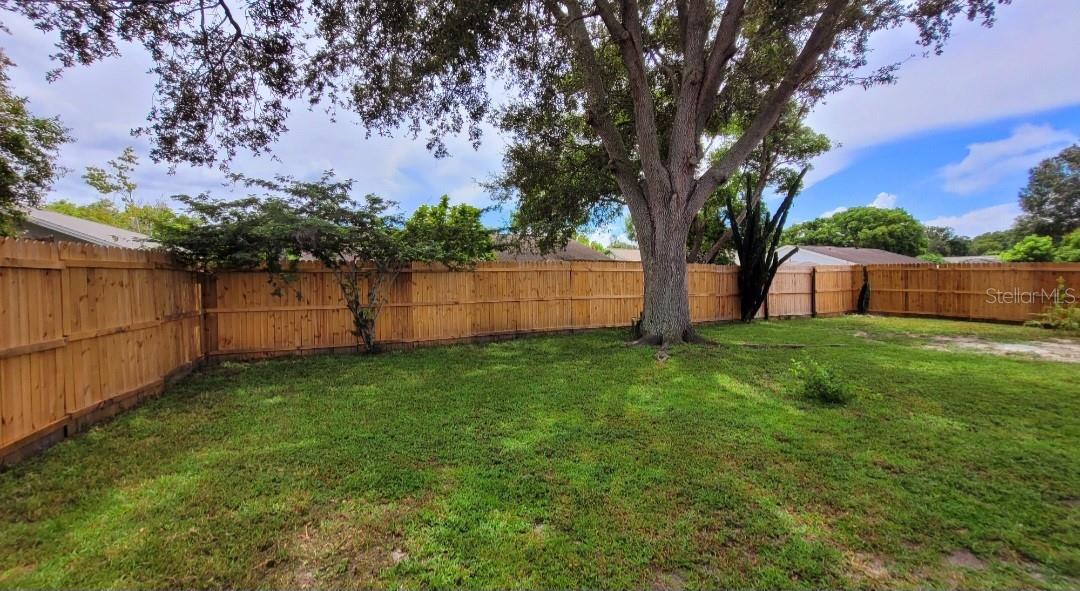 Back yard