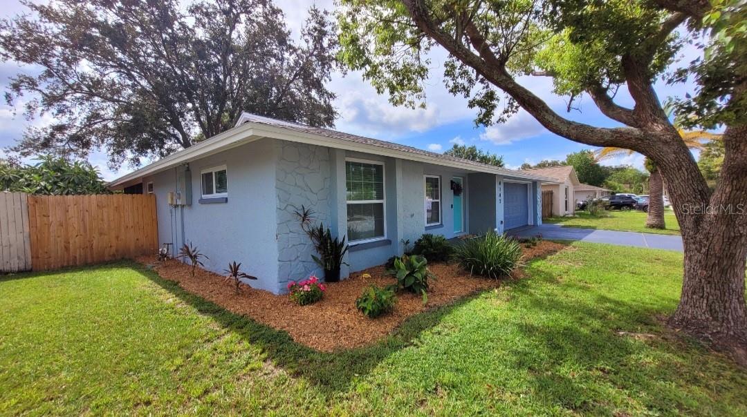 Front yard landscape