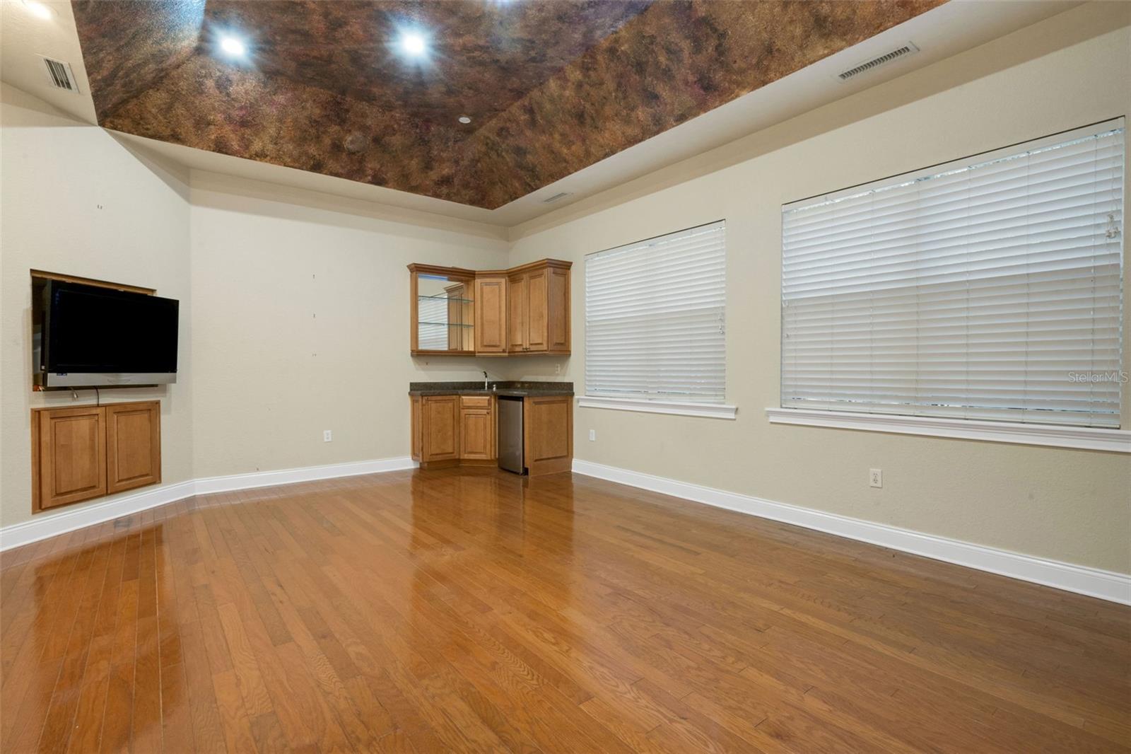 Office/Game Room