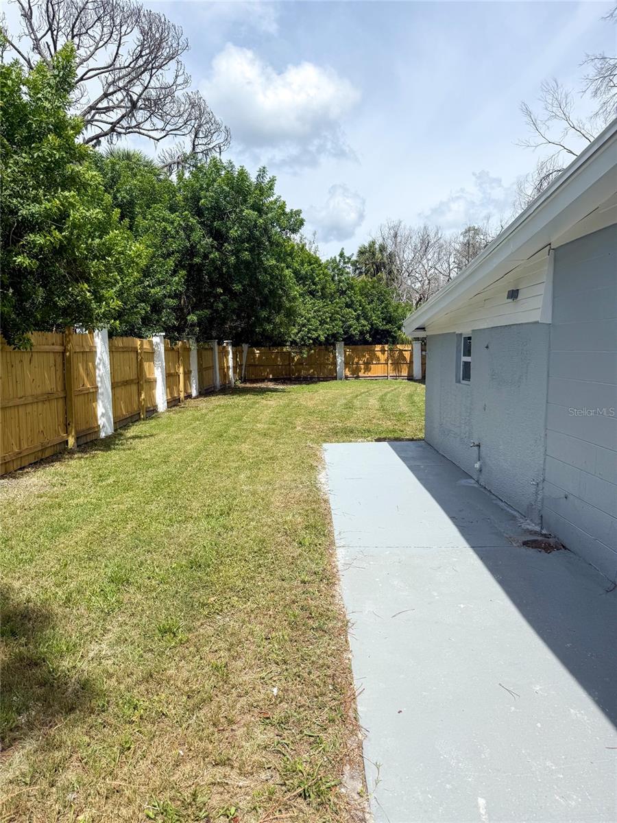Left Side Yard