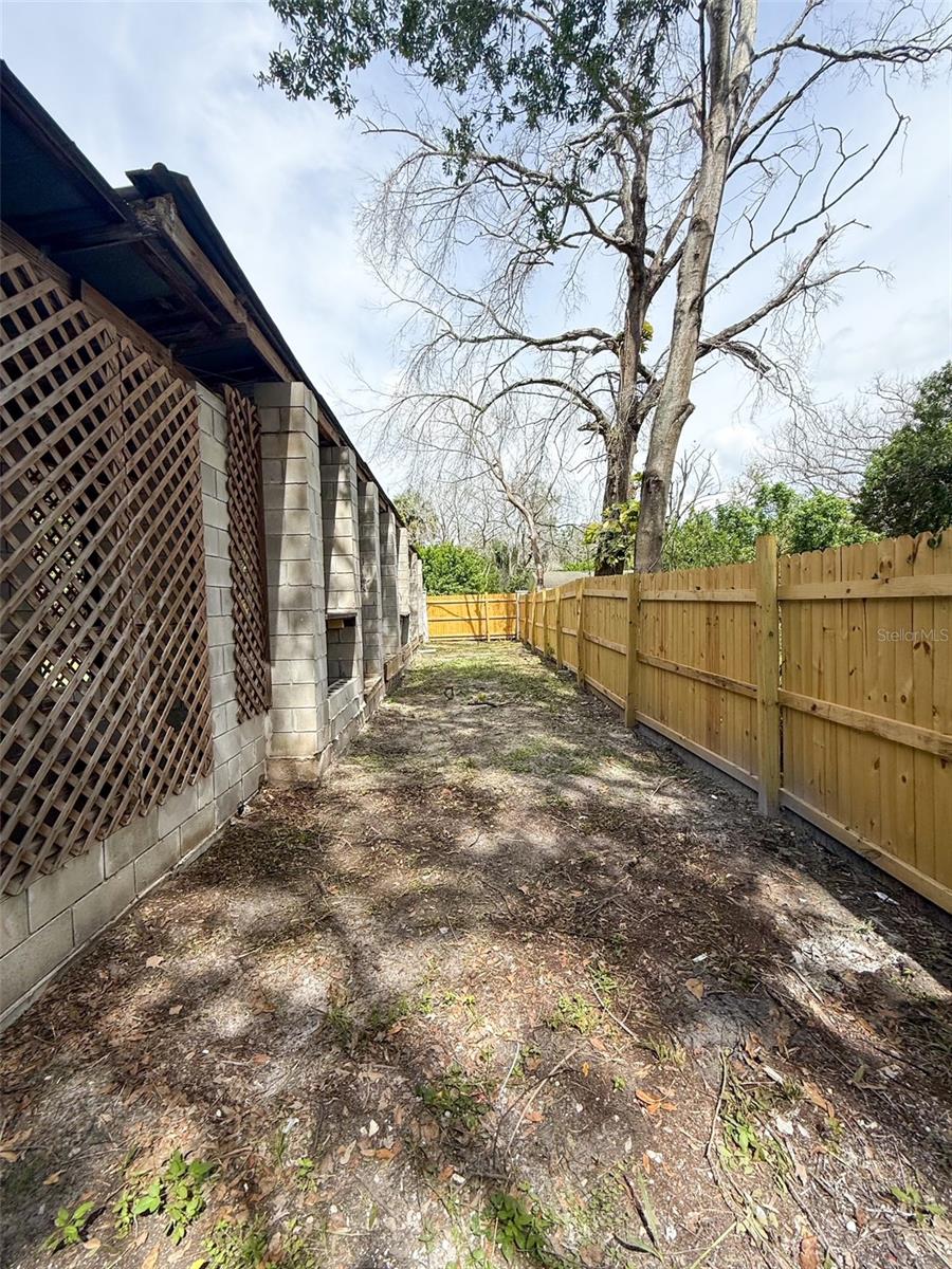 Right Side Yard