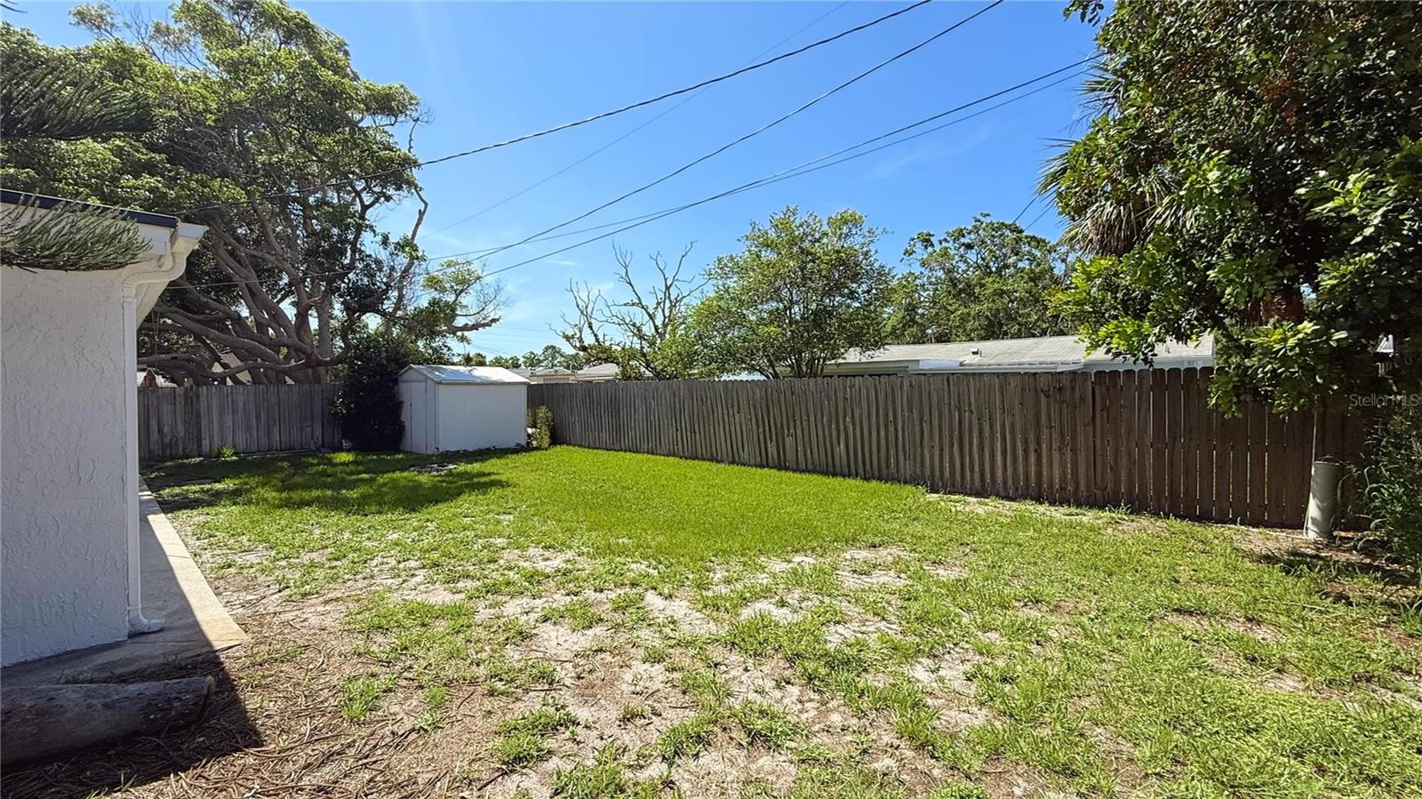 Back Yard