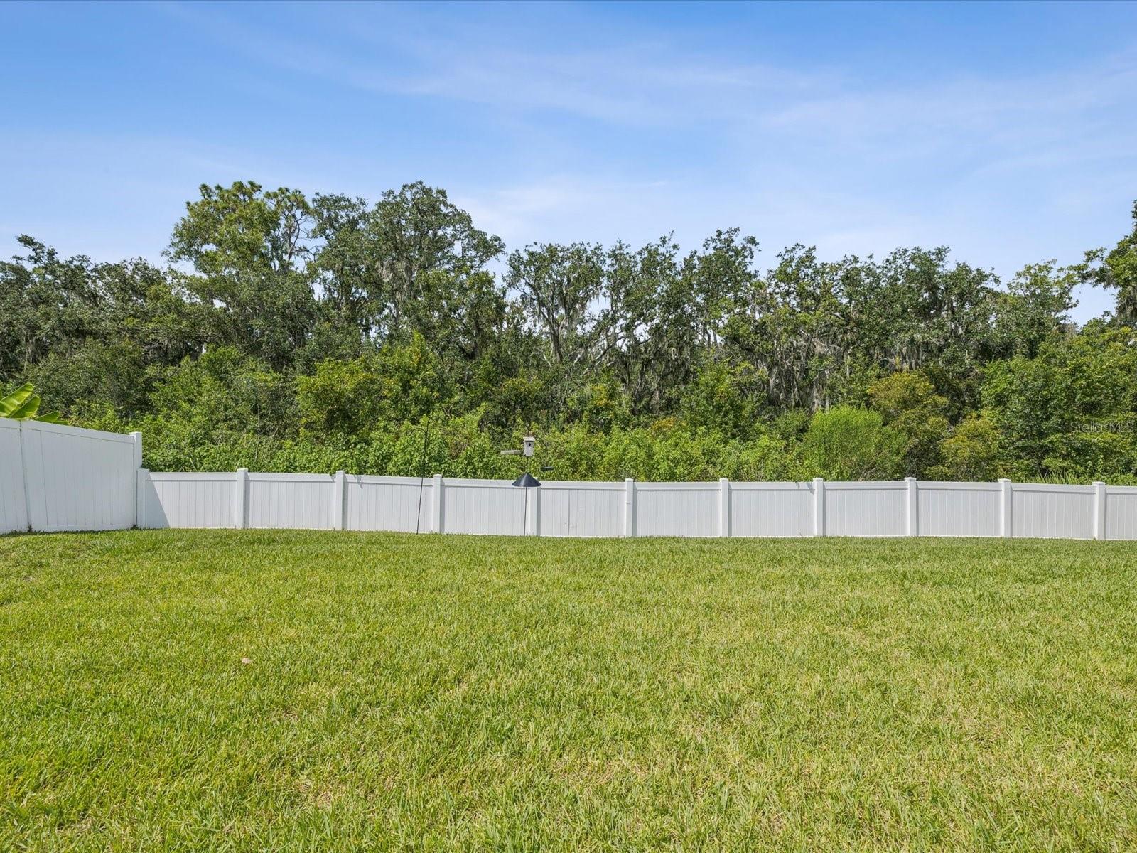 Huge backyard - ready for a pool...privacy of Conservation