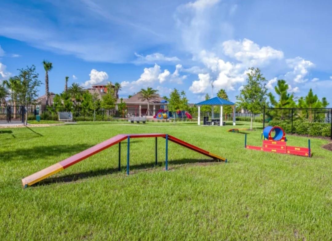 DOG PARK