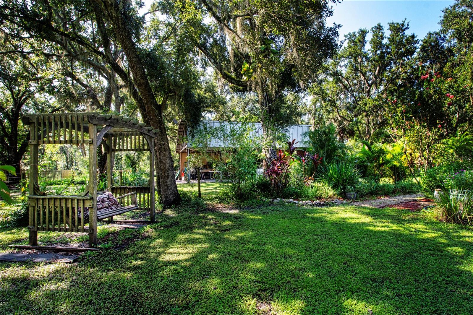 Shady Tranquil Setting In The Back yard