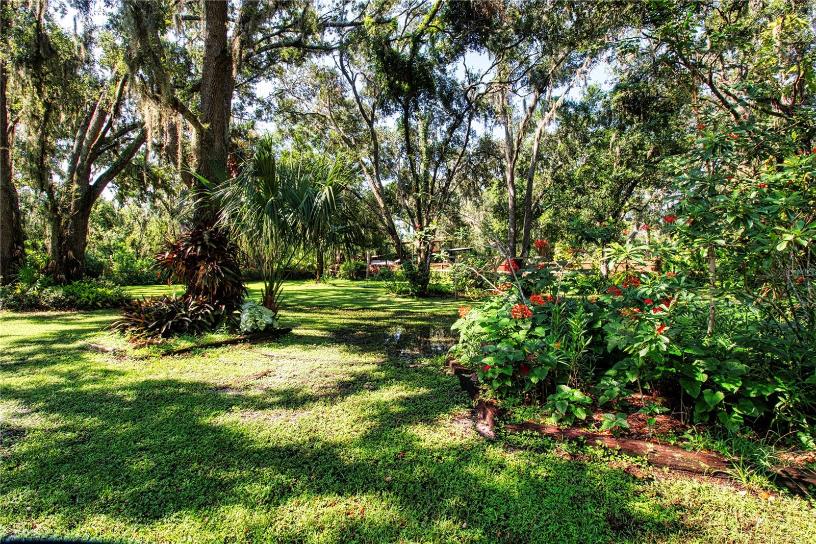 Beautiful Back Yard