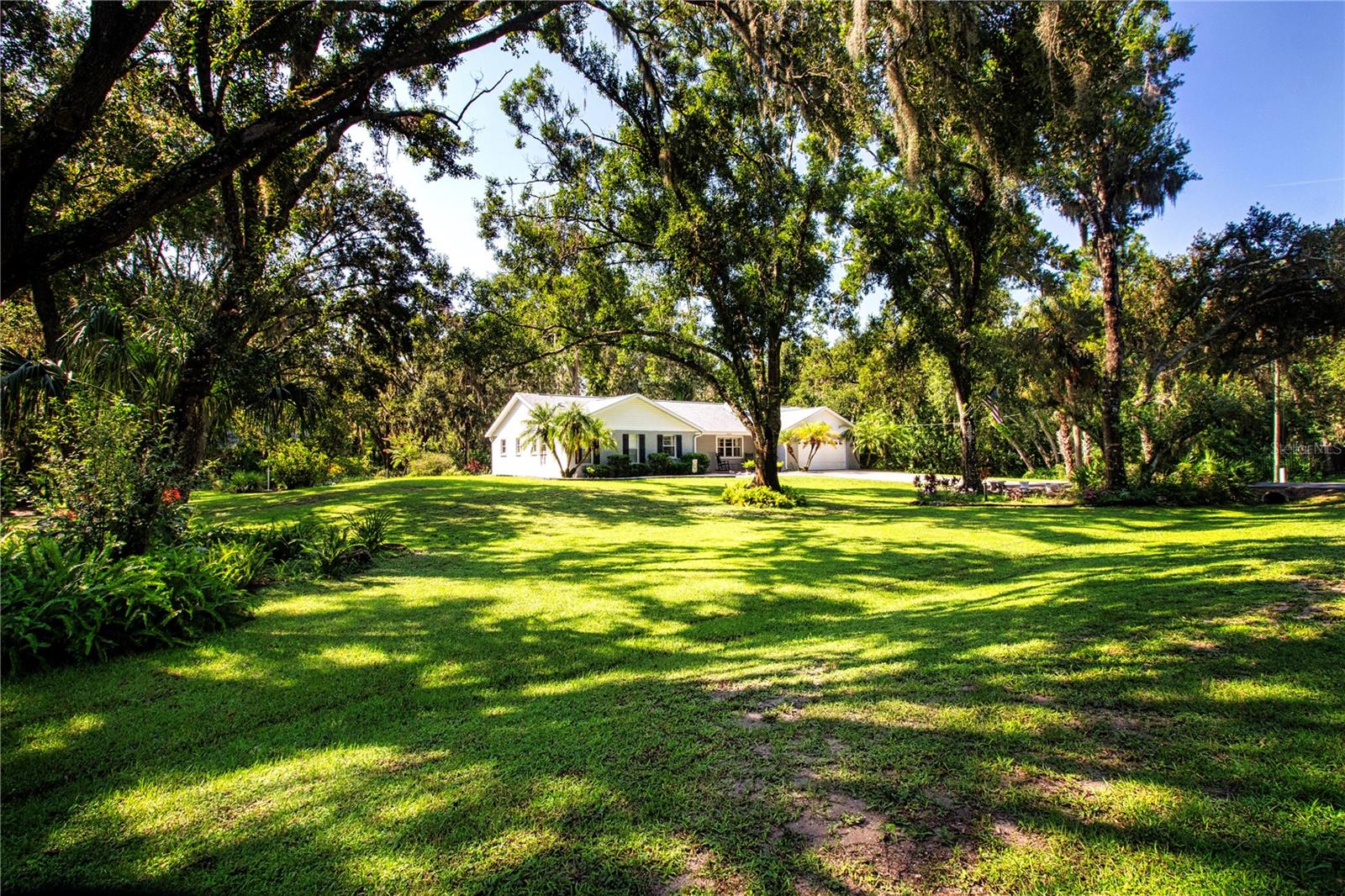 Huge Front Yard