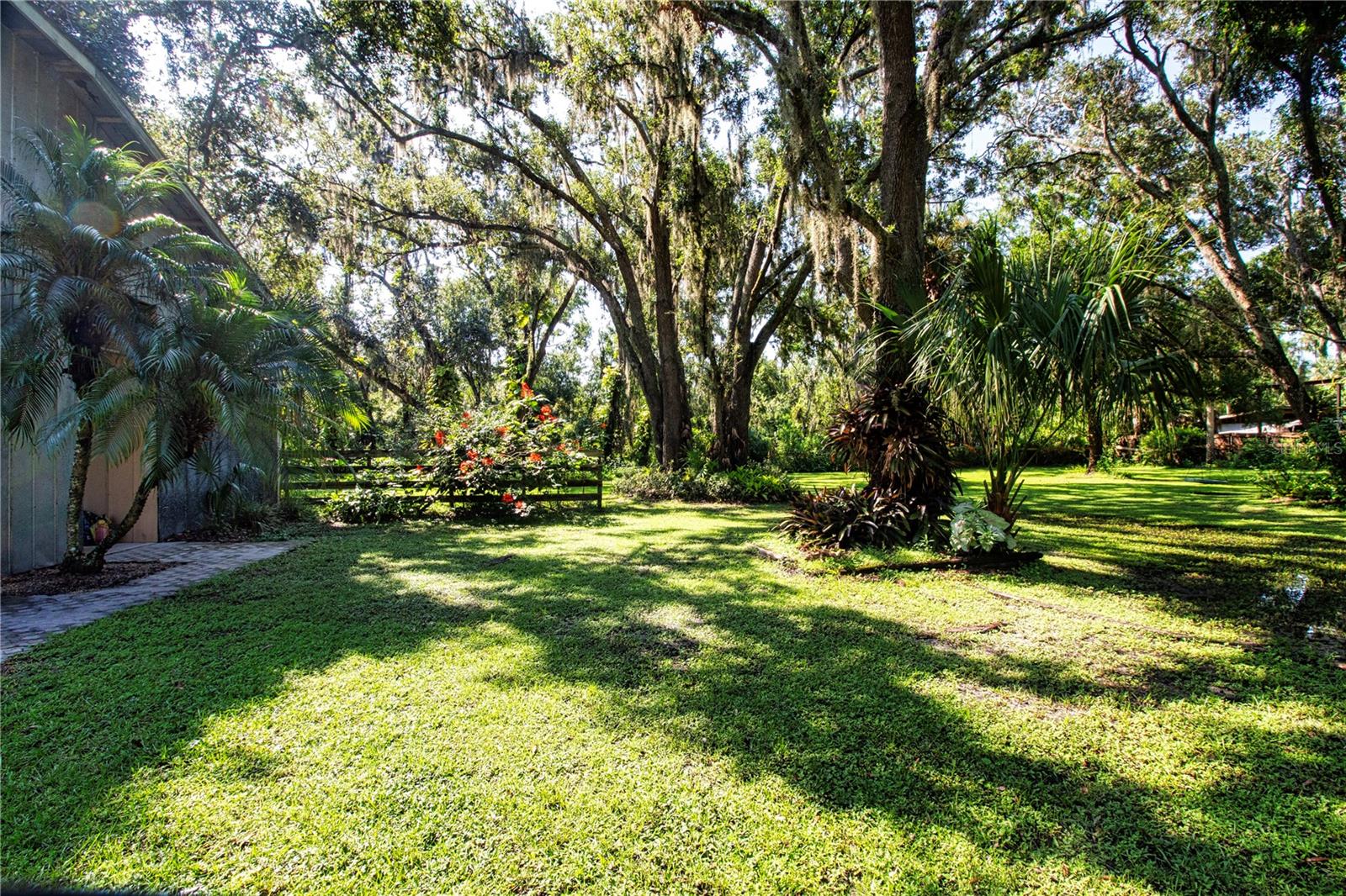 More Of The Beautiful Back Yard