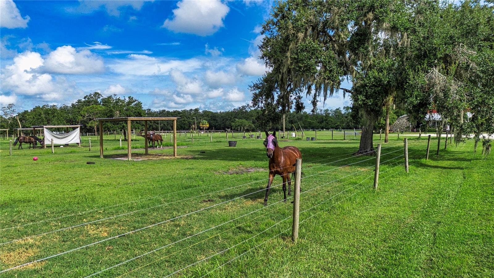 One of 9 paddocks at the Sundance Stables