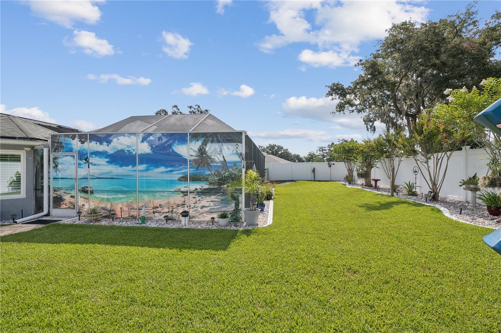 Back Yard