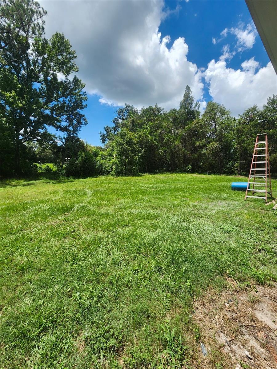 Large Yard