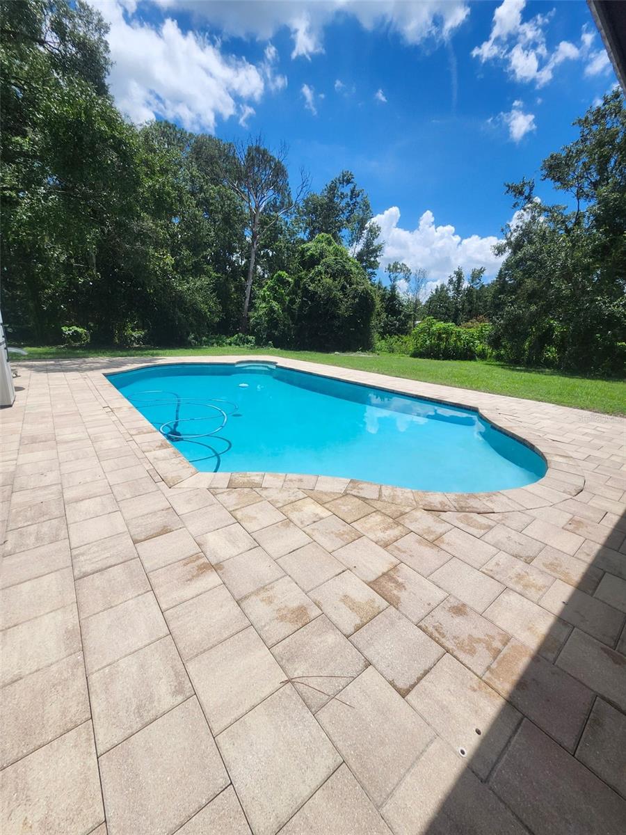 Pook w/Pavers