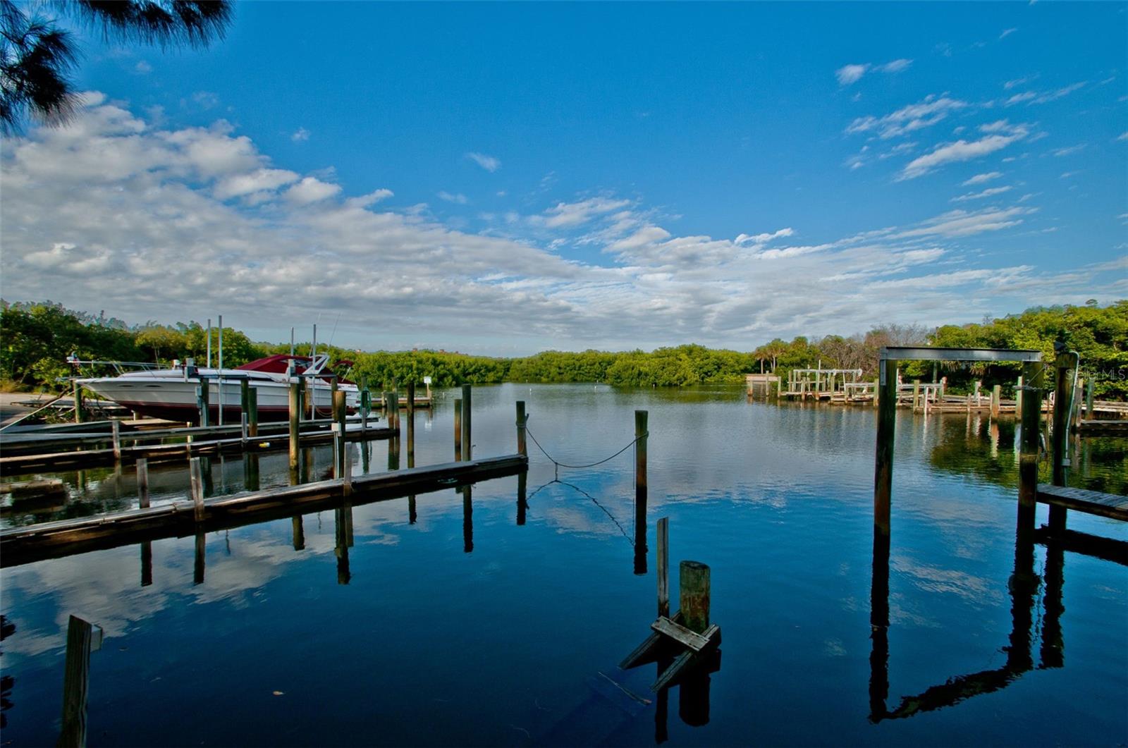 The Cove Cay Marina