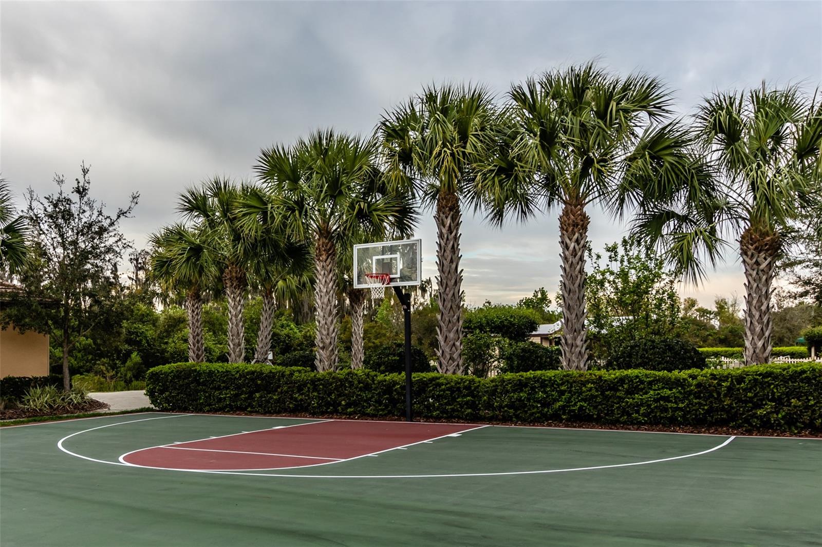 BasketBall Court