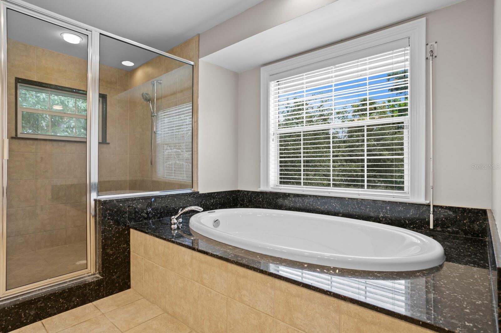 Large Jacuzzi garden tub and separate walk-in shower with bench and dual shower heads