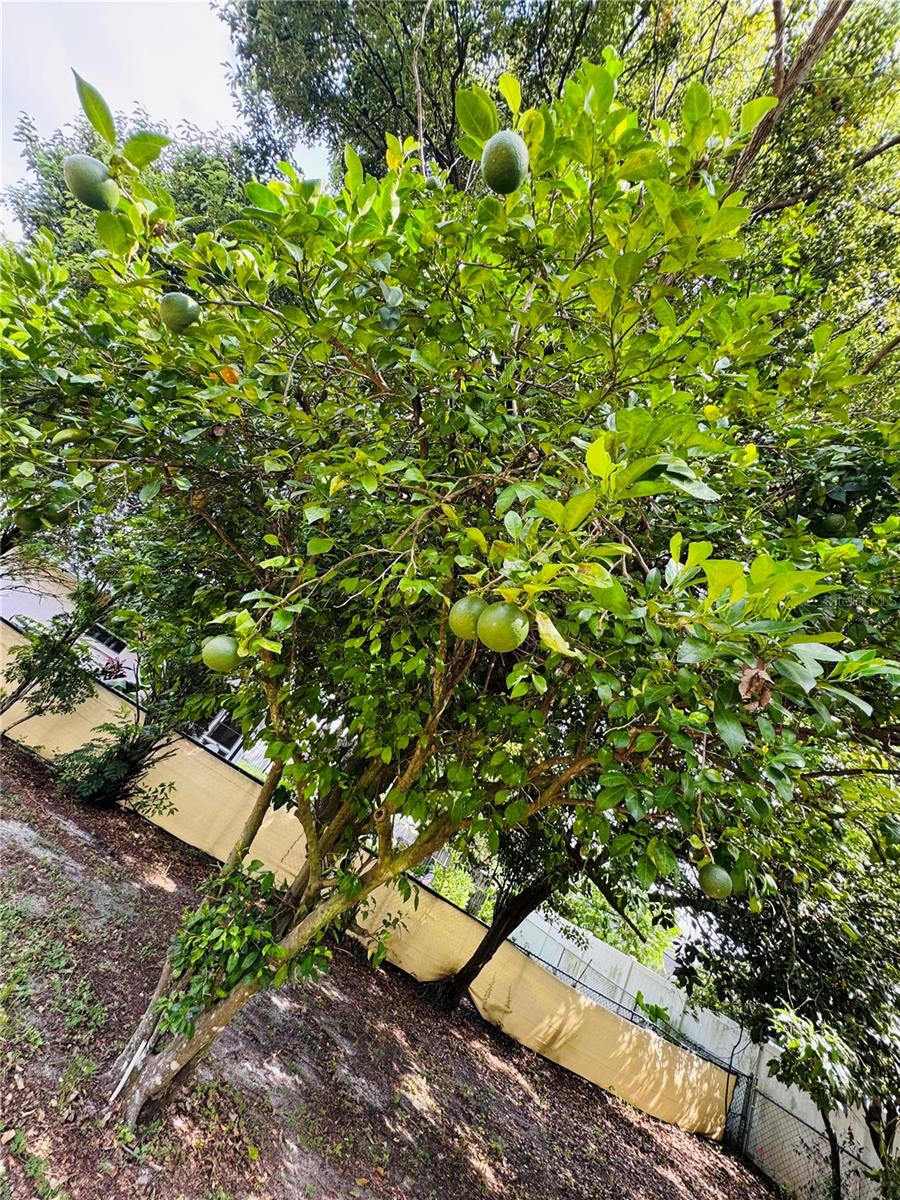 W7877861