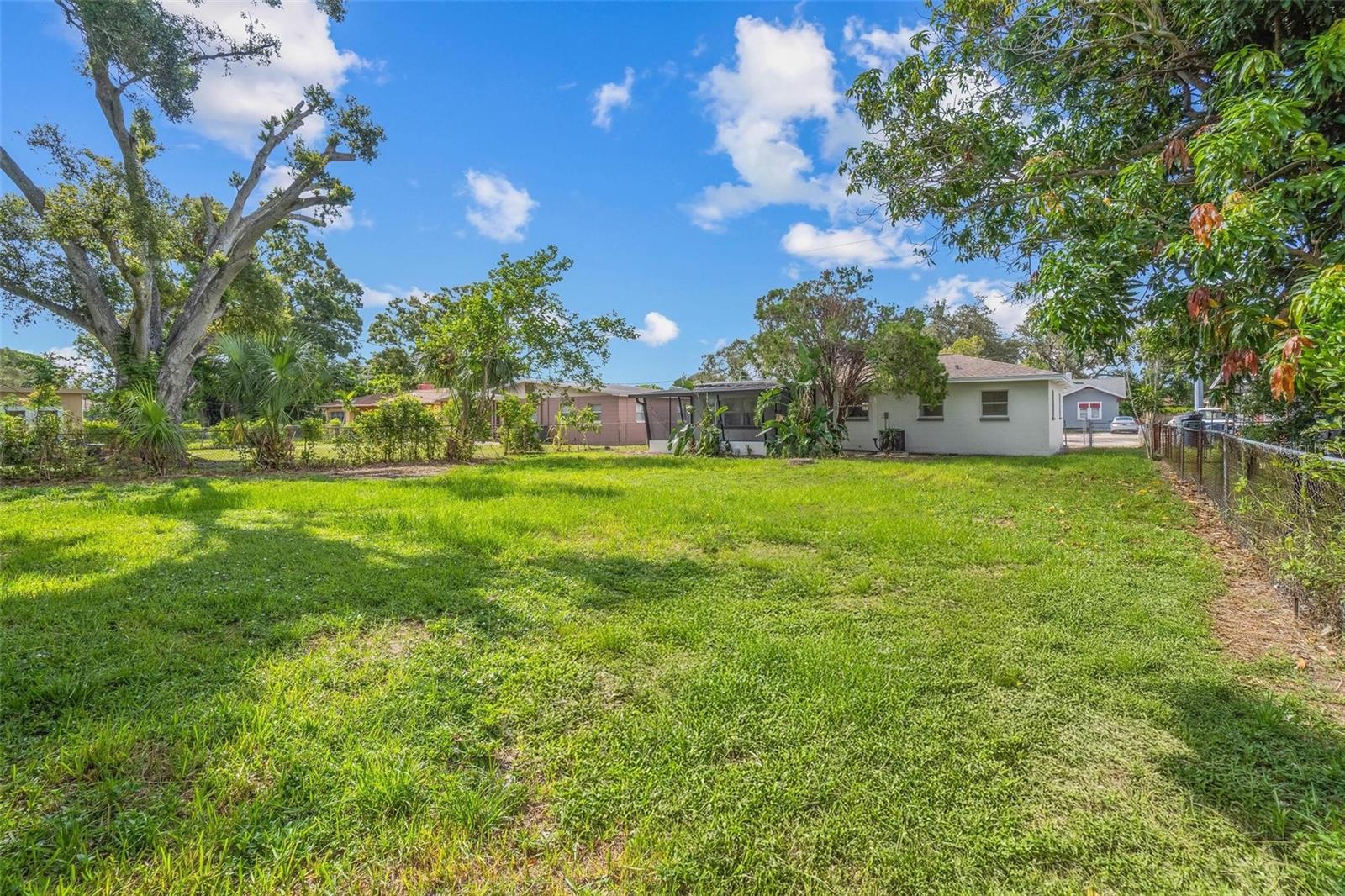 Backyard
