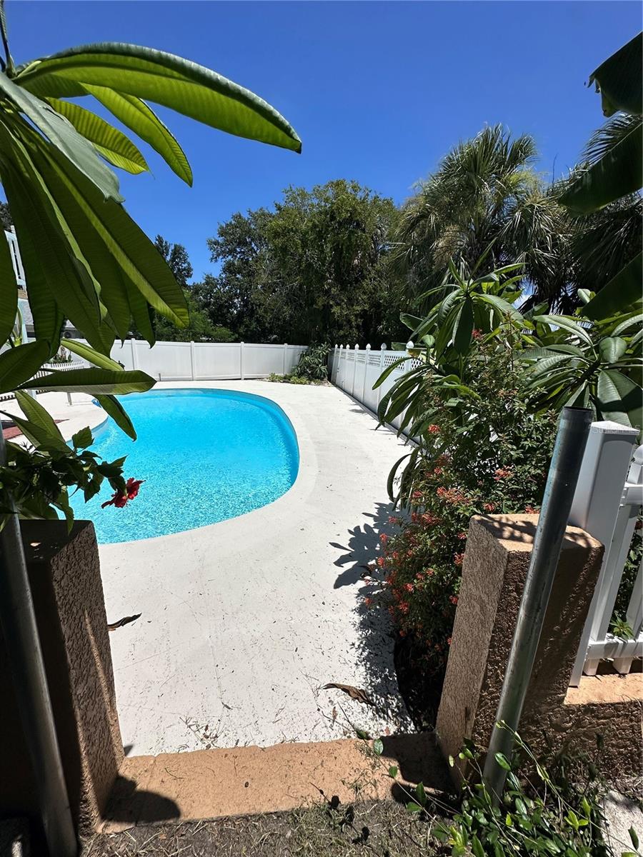 back yard side pool view