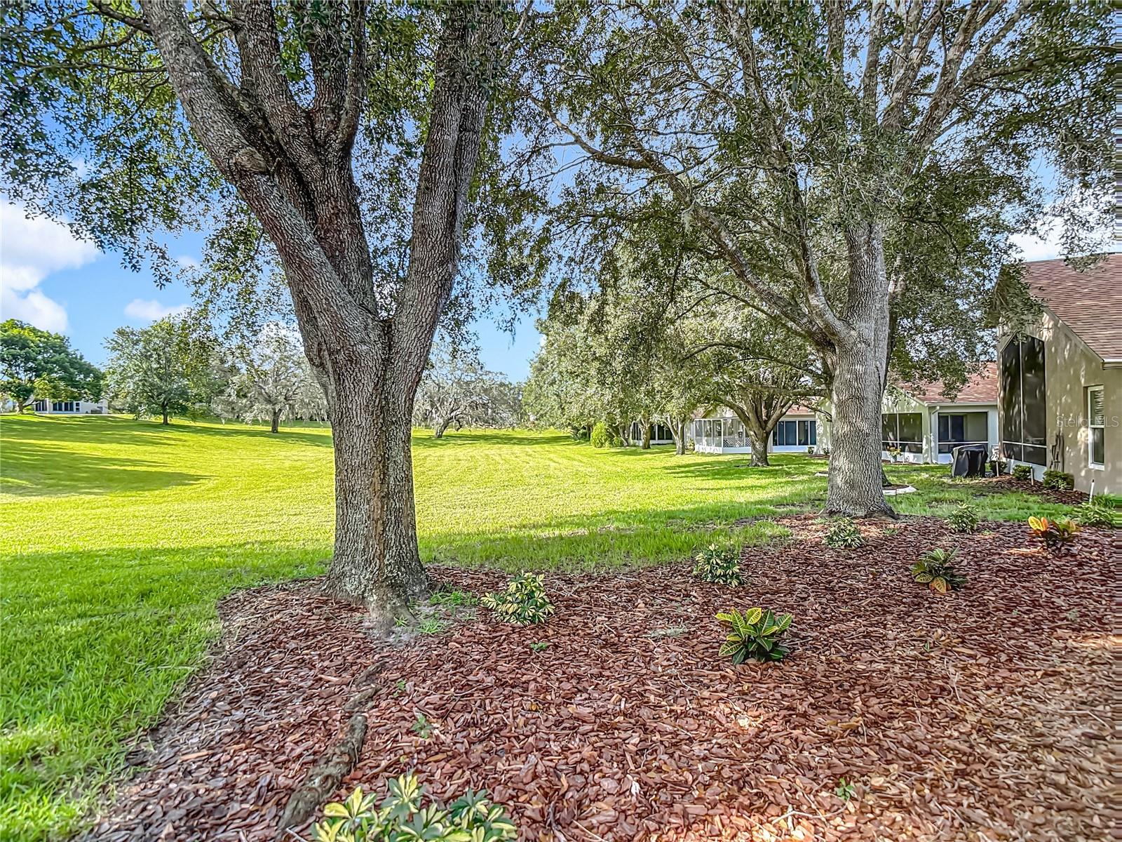 Rear view from your patio.