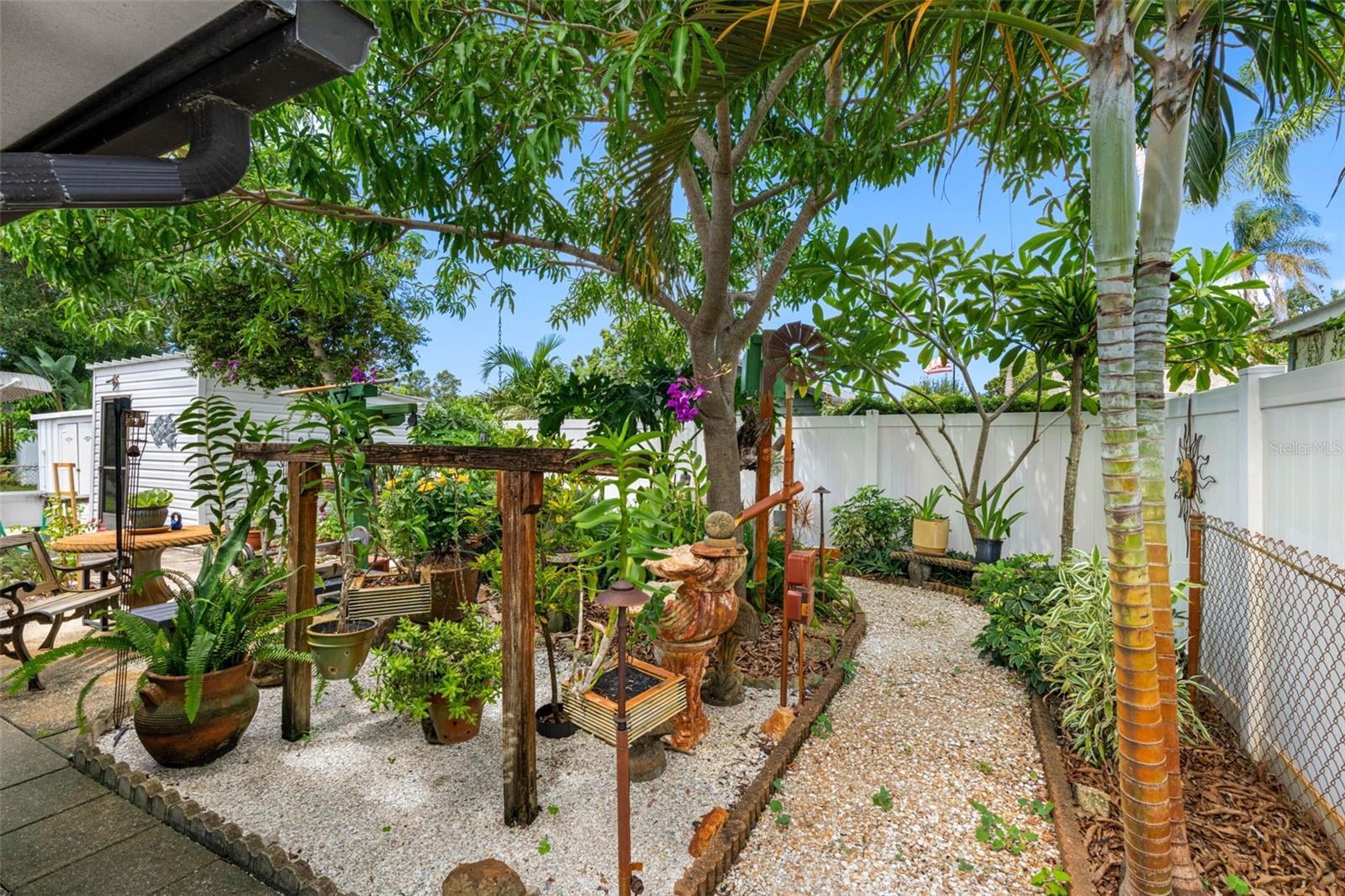 Backyard oasis