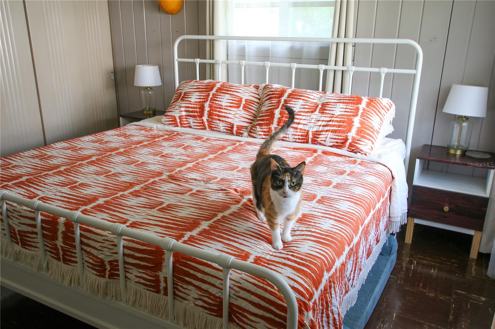 They wanted to be included. Meow.