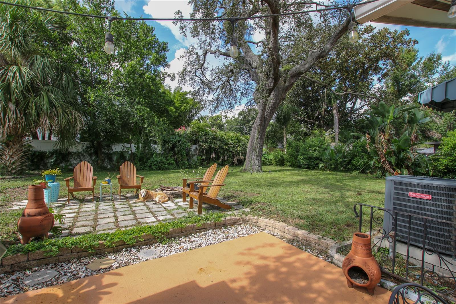 massive yard