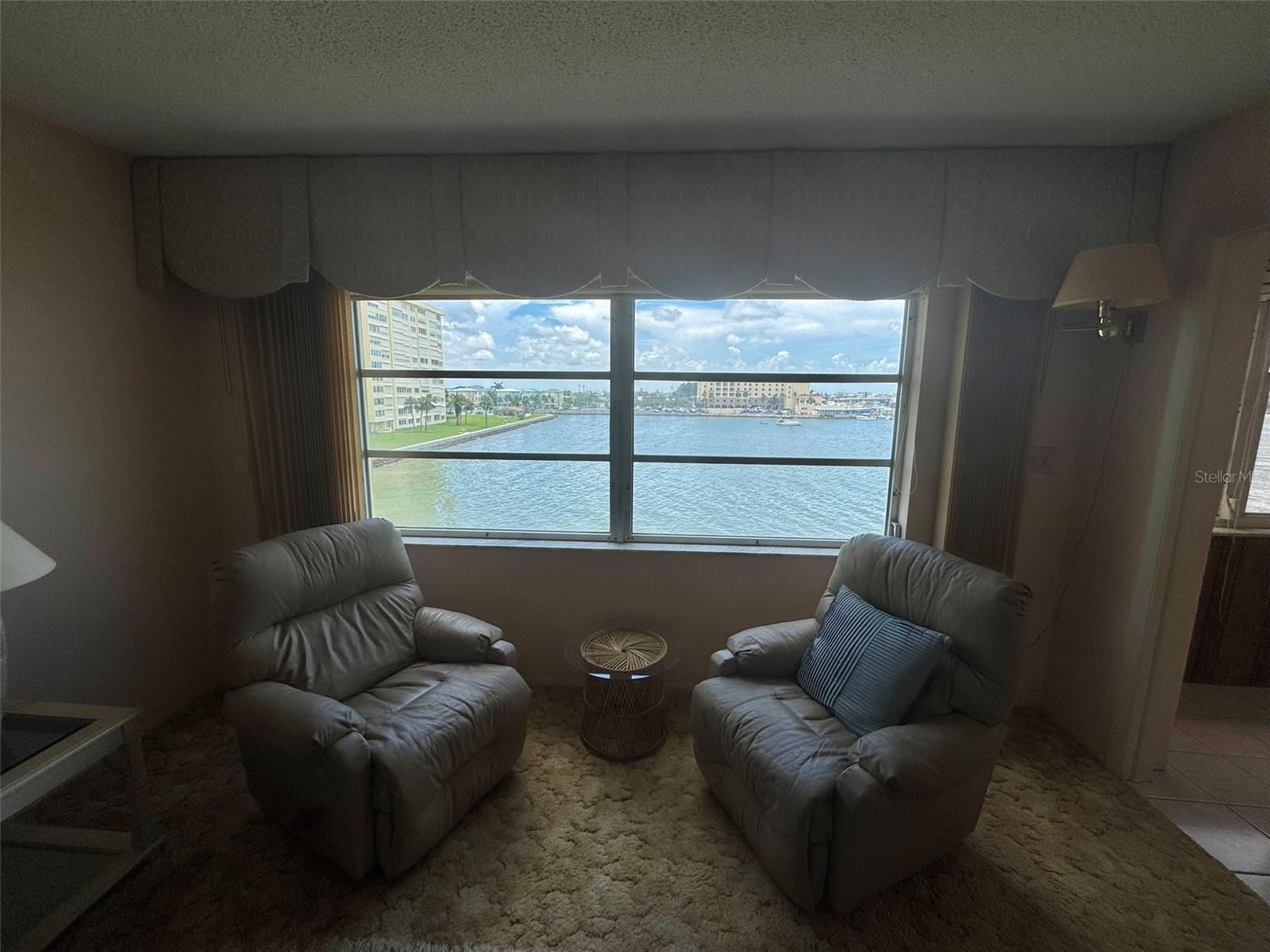 Living Room View