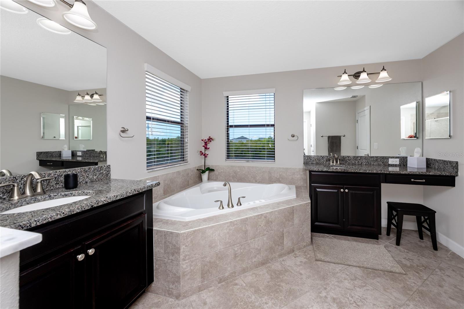 Primary Soaking Tub with Lake views