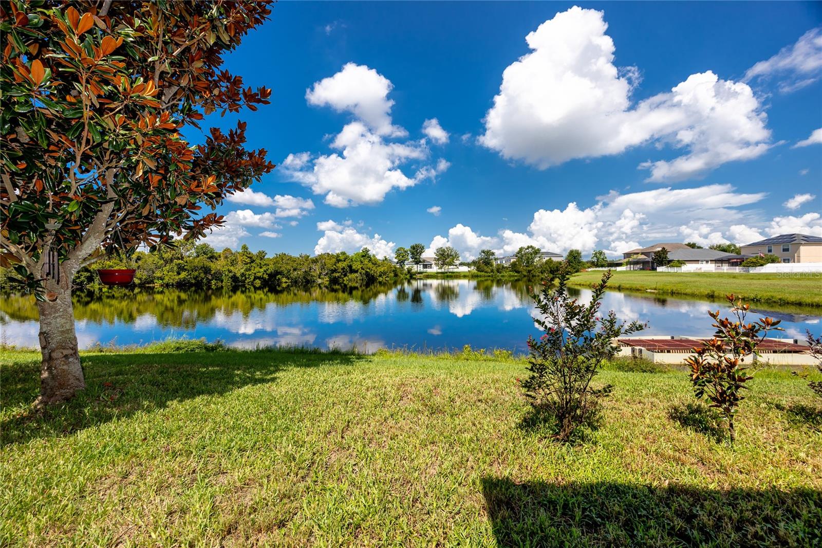 Backyard Lake View