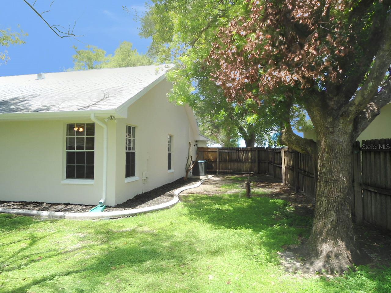 left side