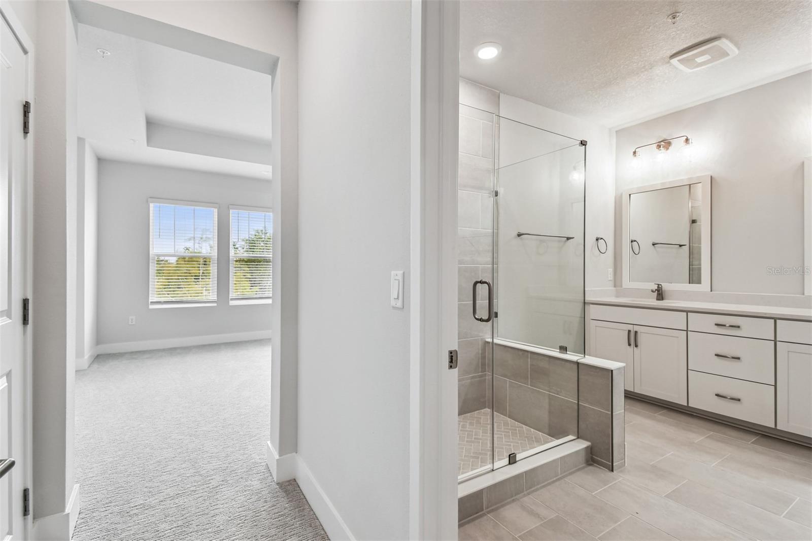 Owner's Bath
