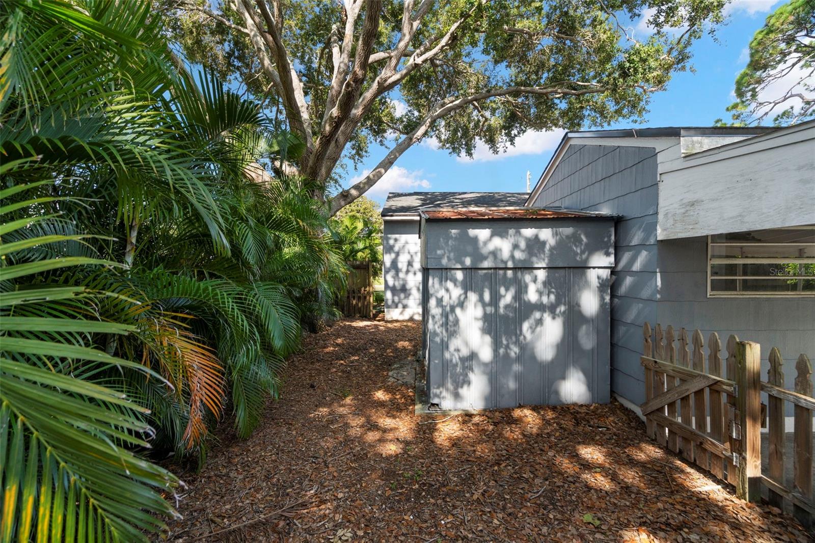 Lush Areca palms for added privacy and a tropical vibe