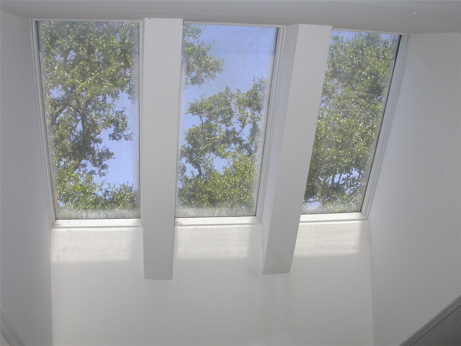 Kitchen Skylights