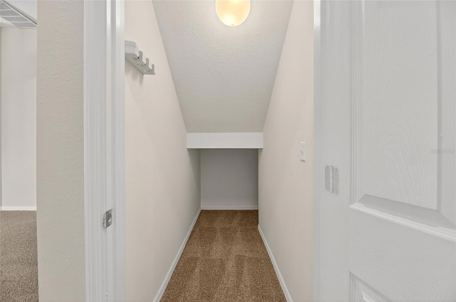 Storage closet under stairs