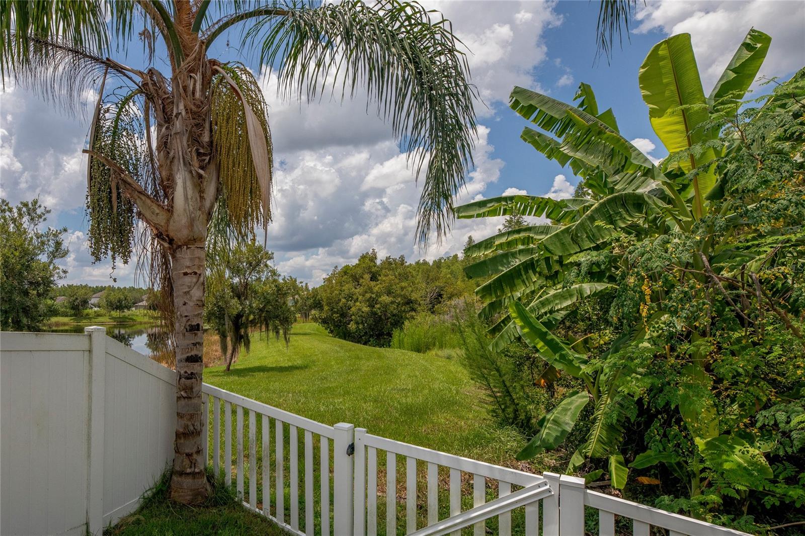 Backyard views of Preserve and Pond