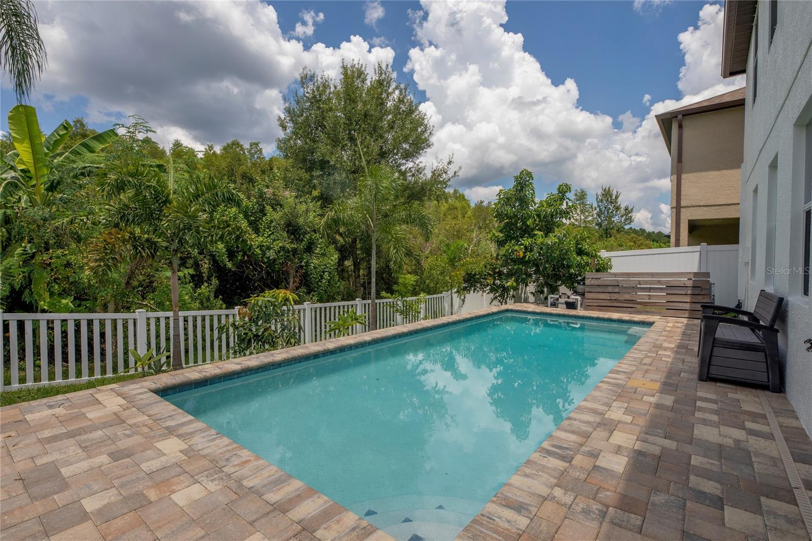 Backyard views