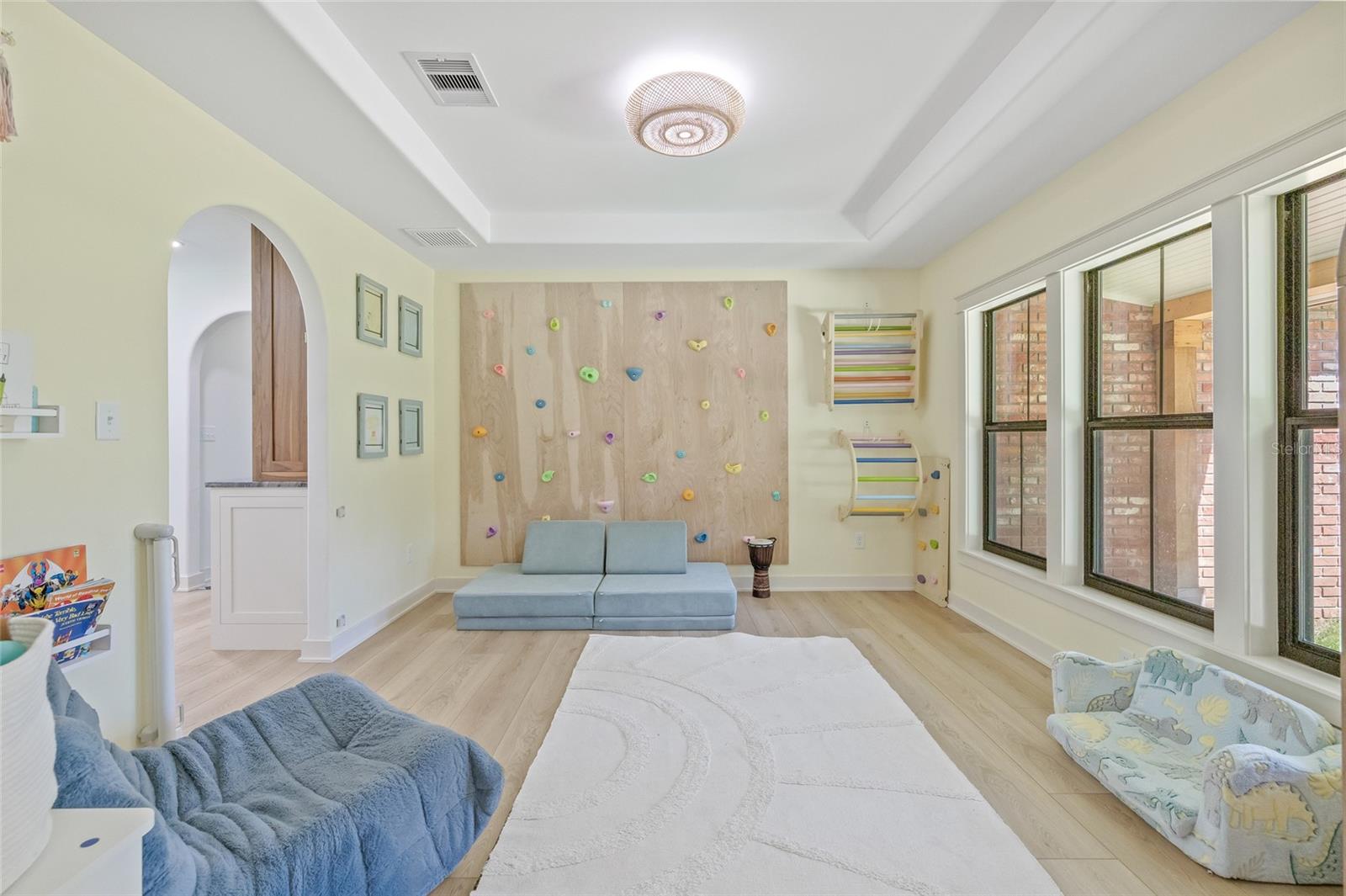Bonus Room- Used as a Play Room