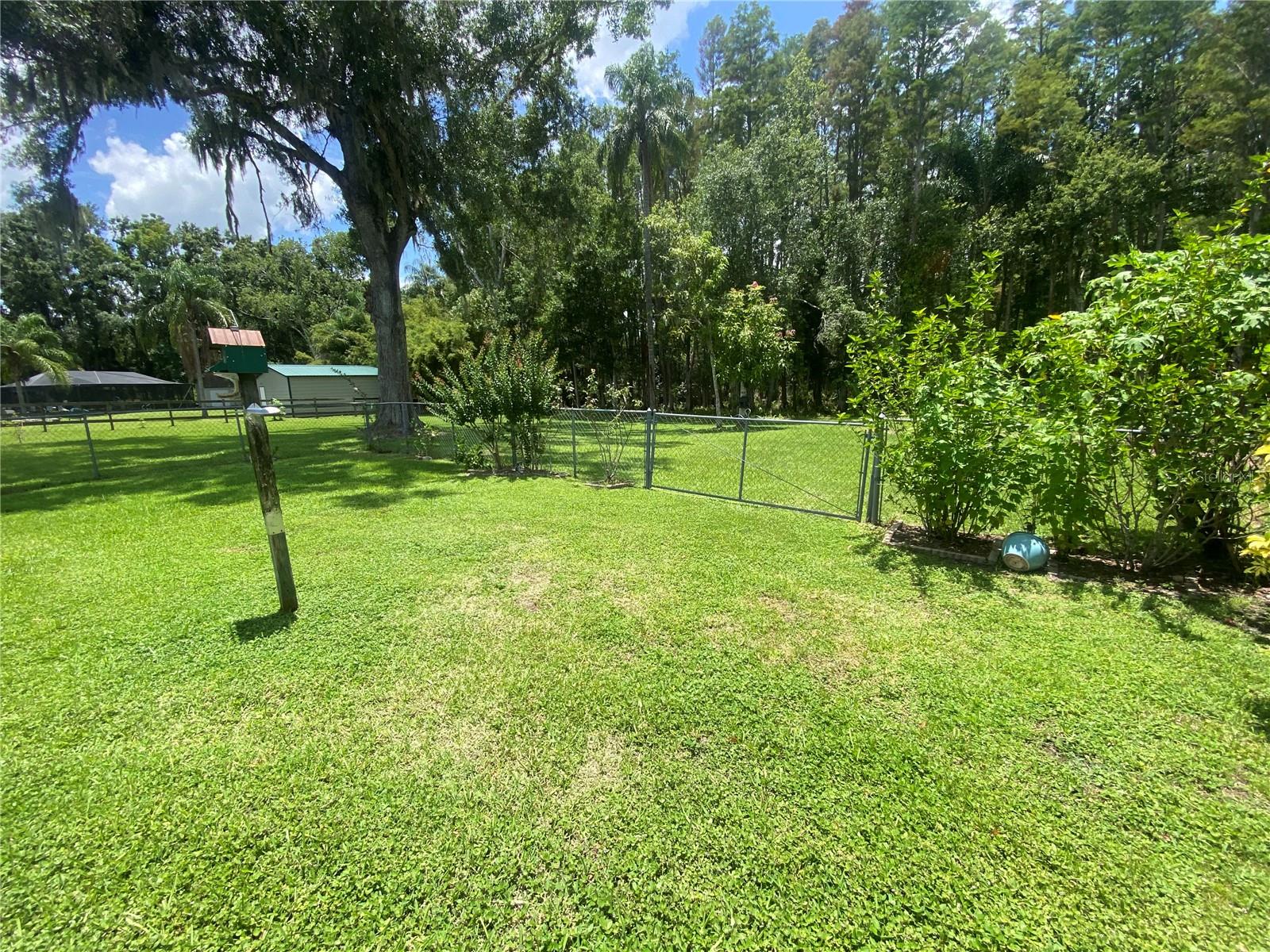 Side yard