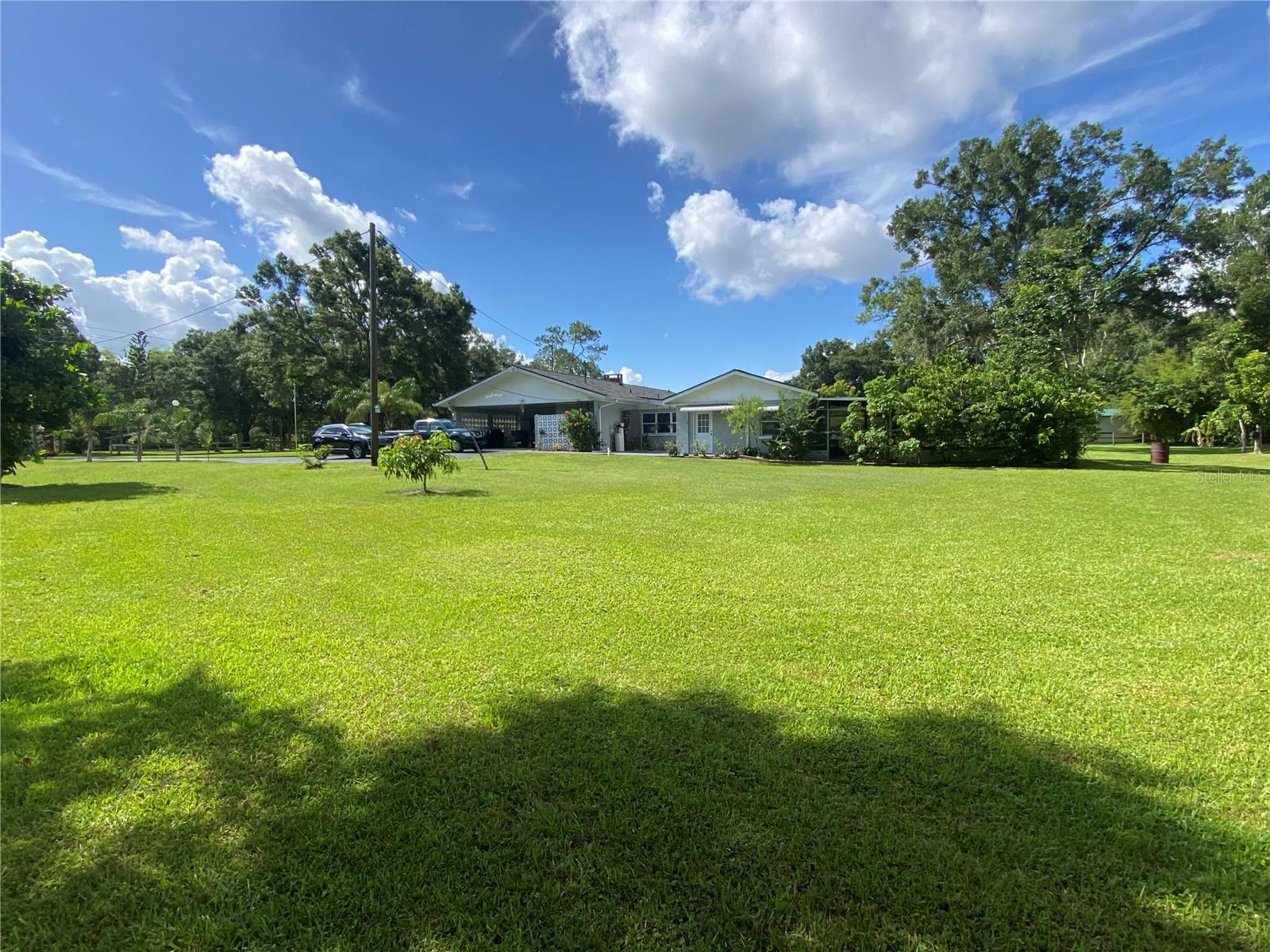 Side Yard