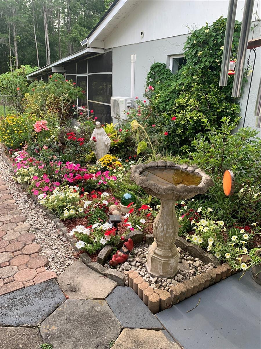 Flowers in bloom
